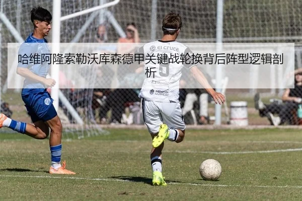 ha-wei-a-long-suo-lei-wo-ku-sen-de-jia-guan-jian-zhan-lun-huan-bei-hou-zhen-xing-luo-ji-pou-xi-2-935.jpg